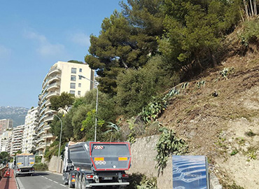 Abattage arbres dangereux 98000 Monaco